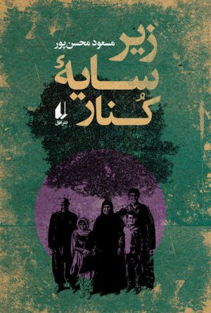 Under the Shadow of Jujube